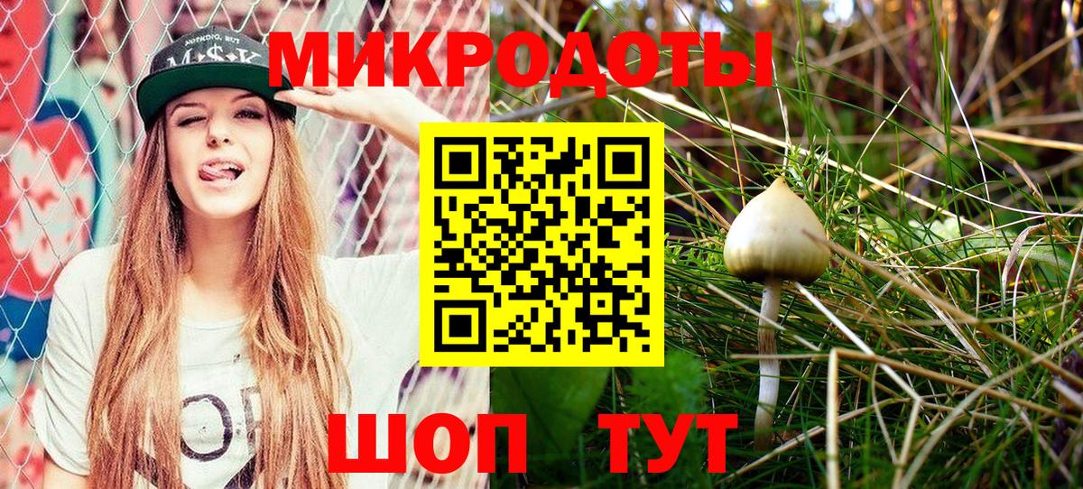 Галлюциногенные грибы Psilocybe Среднеуральск